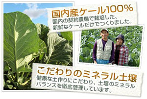 サントリーならではの厳しい品質基準をクリアした安全野菜を使用した「極の青汁」