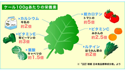 こだわりのケールを使用した青汁のレモンの青汁